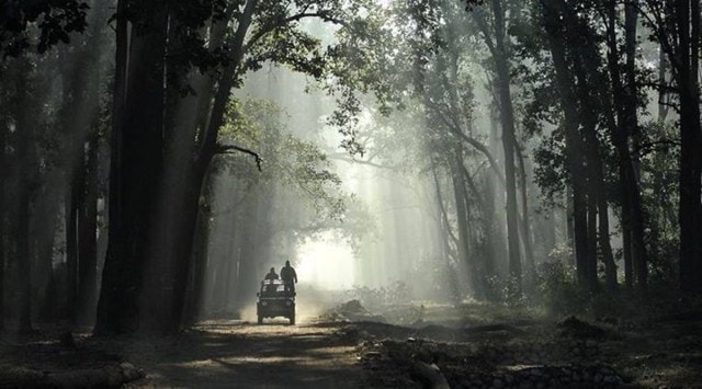 The Jim Corbett National Park is one of the oldest national parks in Asia. (File photo)