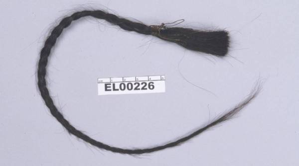 Sitting Bull's scalp lock. 