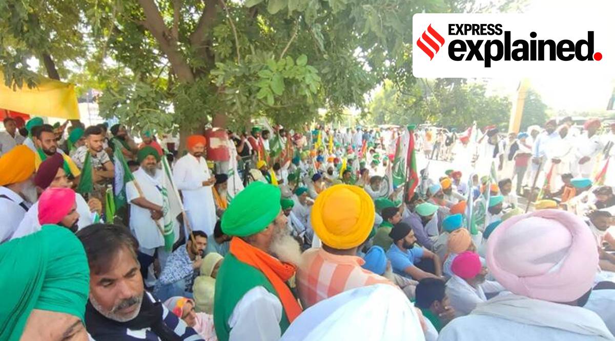 According to District Domestic Product data released by the Uttar Pradesh Directorate of Economics & Statistics, the district contributed Rs 12,414.40 crore — 3.38 per cent — of the state's Agriculture, Forestry, and Fisheries sector GDP of Rs 3,66,727.16 crore in 2019-20.