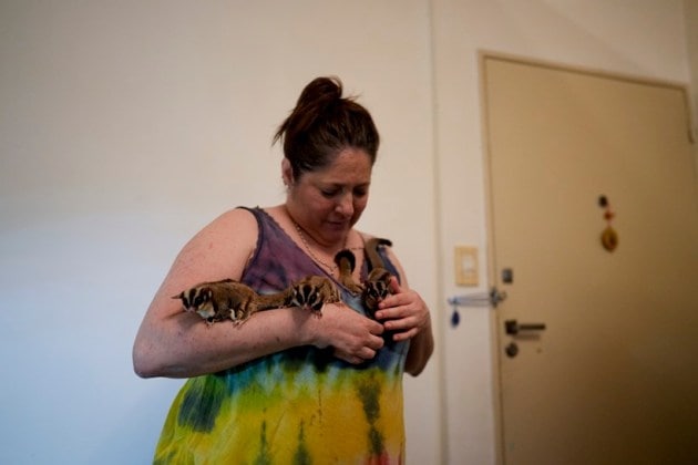 pandemic pets, coronavirus pandemic, exotic animals pets