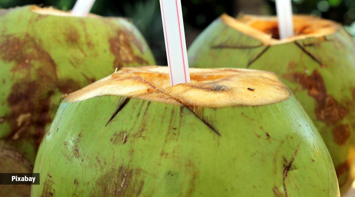 coconut water