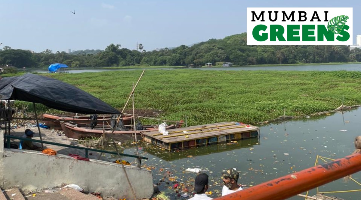 mumbai greens, mumbai powai garden, powai lake