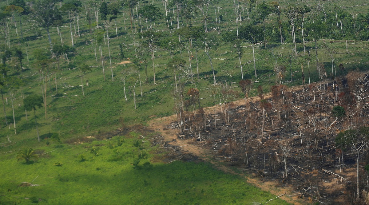 Jump in deforestation of world’s most biodiverse savanna alarms Brazilian scientists thumbnail