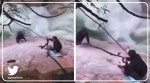 Five Sikhs Used Their Turban to Rescue, sikh men rescue hiker Golden Ears waterfall canada viral video, trending, indian express, indian express news