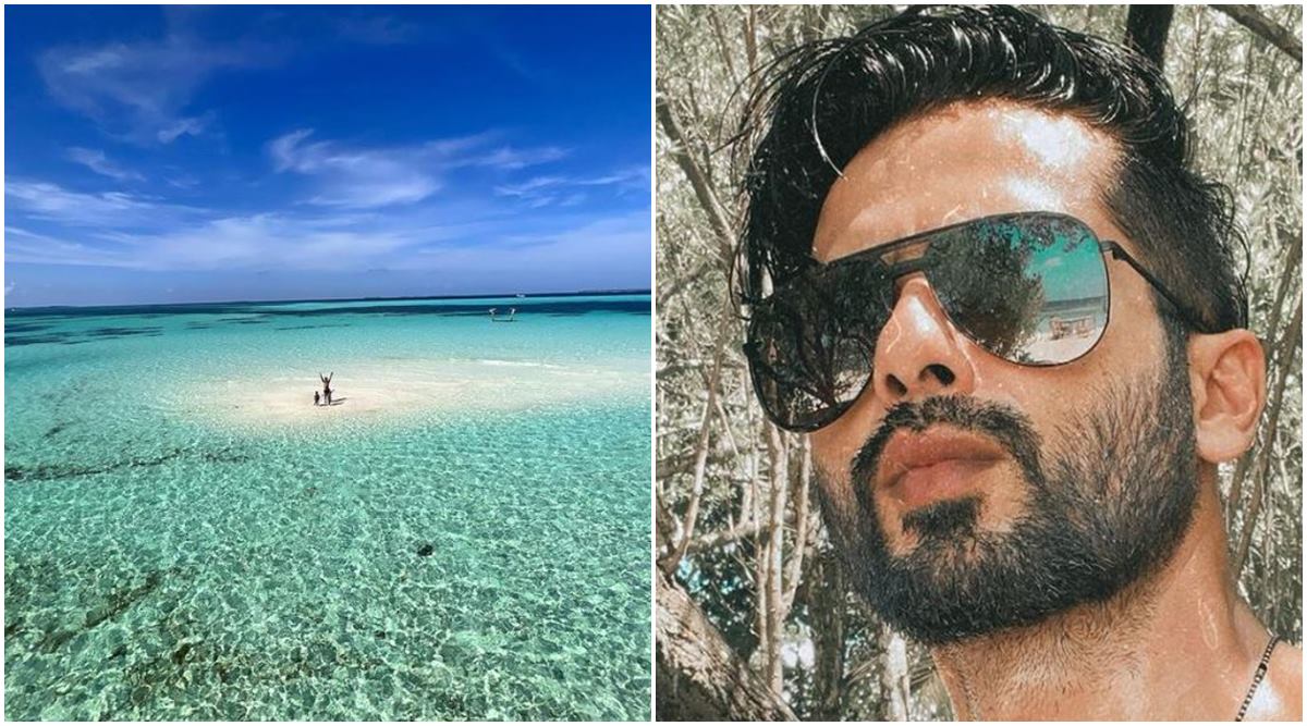 shahid kapoor