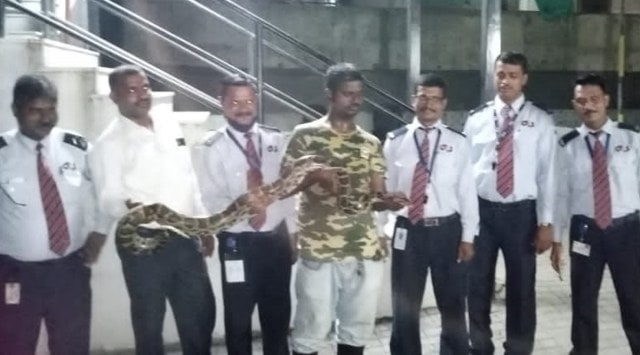 Snake