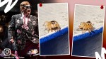 spider elton john, elton john lookalike spider, australian spider elton john, sir elton john, spider plays imaginary piano, viral videos, indian express