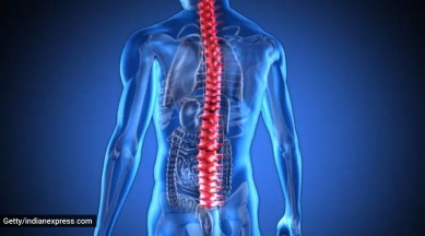 spinal fungal infection