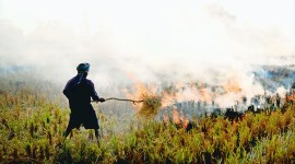 delhi pollution, delhi weather today, delhi air pollution, crop burning delhi, delhi smoke smog, stubble burning, delhi air pollution, delhi news, delhi latest news, delhi today news, delhi local news, new delhi news, latest delhi news, indian express news