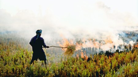 delhi pollution, delhi weather today, delhi air pollution, crop burning delhi, delhi smoke smog, stubble burning, delhi air pollution, delhi news, delhi latest news, delhi today news, delhi local news, new delhi news, latest delhi news, indian express news