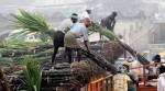 sugar mills income tax
