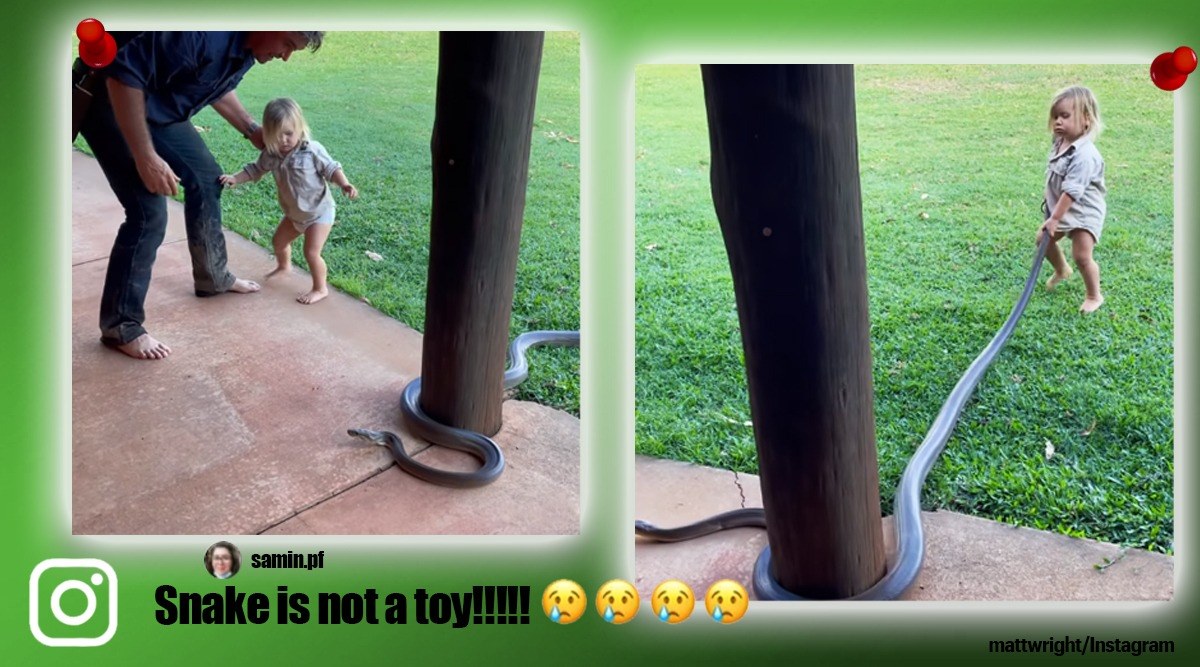 Watch: Kid playing with enormous python goes viral - EastMojo