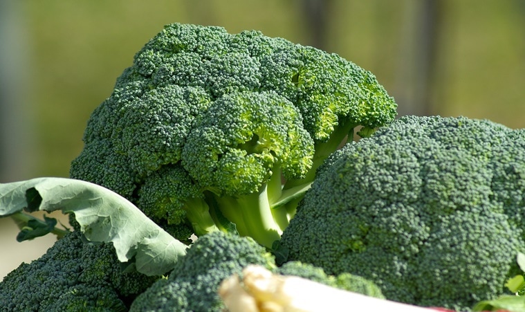 Too Much Kale and Raw Cruciferous Veggies Can Cause Hypothyroidism