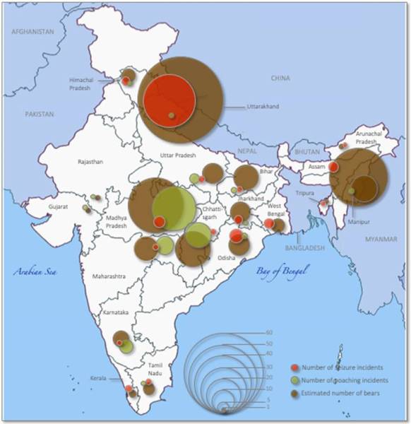 A pesar de las duras leyes, el comercio ilegal de osos continúa en India: estudio 2 Puntos calientes de captura de osos y caza furtiva