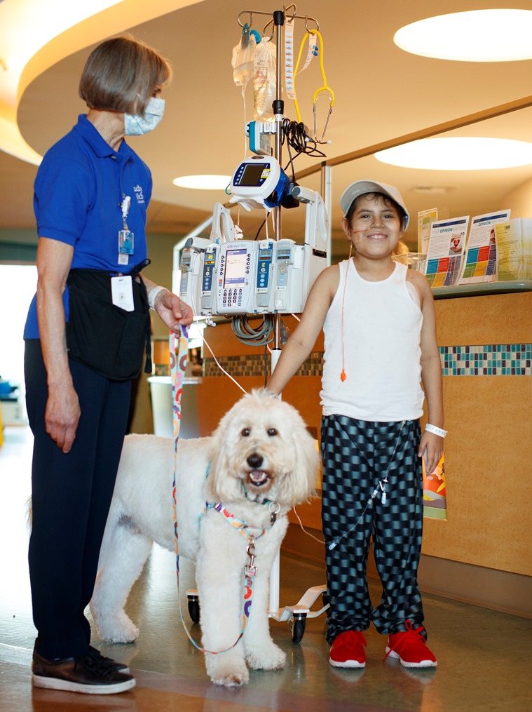 therapy dogs, therapy dog ​​covid-19 vaccine, therapy dog ​​vaccine hesitancy
