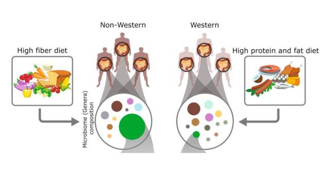 gut microbiome