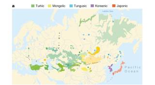 Transeurasian languages