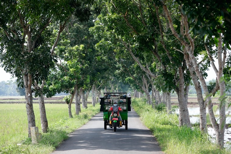 trash library, trash for books, indonesia literacy