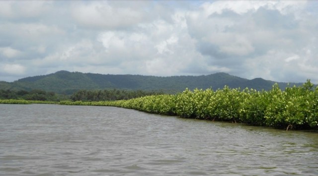 Aghanashini River in central Uttara Kannada district of Karnataka originates in the Western Ghats and flows westward towards Arabian Sea.