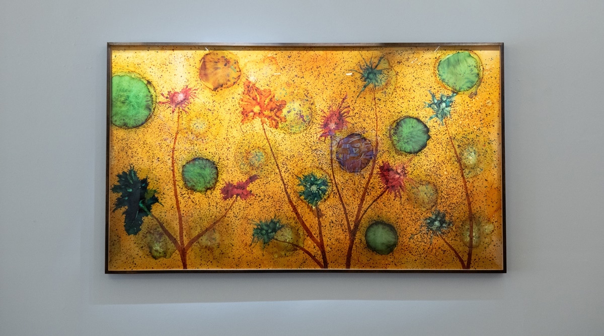 Hunter Biden, Biden's art show, white house, New York gallery, Manhattan gallery, US news, world news, Indian express