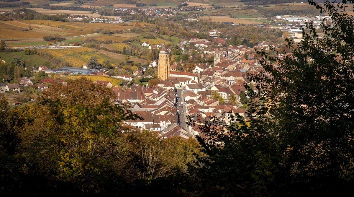 France vineyards