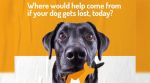 ForPAWS, ForPAWS app,