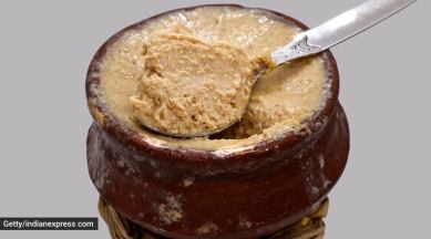 mishti doi, what is mishti doi, how to prepare mishti doi, health benefits of mishti doi, is mishti doi healthy, indian express news