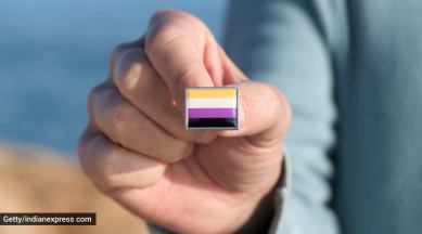 Le Robert dictionary, Le Robert non-binary pronoun, French dictionary non binary pronoun, Le Robert backlash, what is non binary pronoun, iel Le Robert, iel pronoun