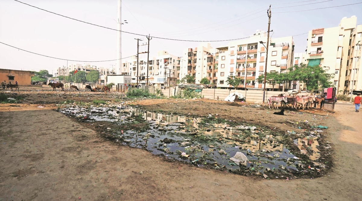 Swachh Survekshan Even as Vadodara ranked 8th cleanest city, housing