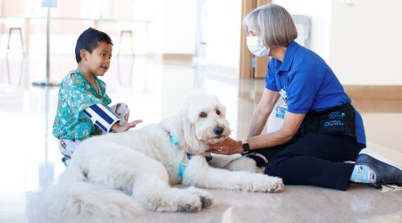 therapy dog, therapy dog covid-19 vaccine, therapy dog vaccine hesitancy