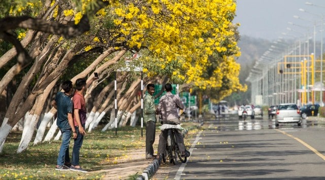 Vehicular arterial roads in Chandigarh are identified as 'Margs'. The picture shows Jan Marg in Chandigarh.(Express Photo)