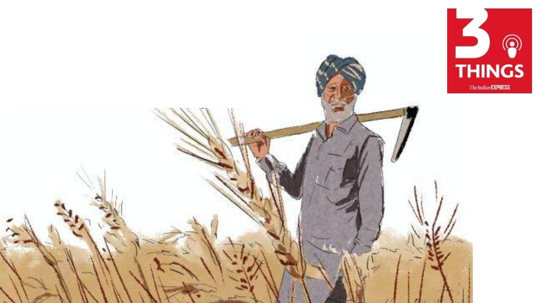 To What Extent Can Guaranteed MSP Help Farmers, Rajasthan Cabinet ...