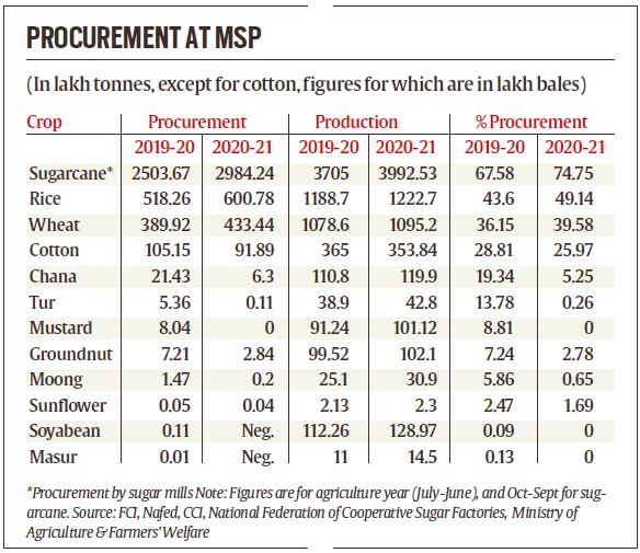 Punjab: Over 25% of Cotton Sold Below Minimum Support Price