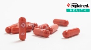 Explained: What is Molnupiravir?