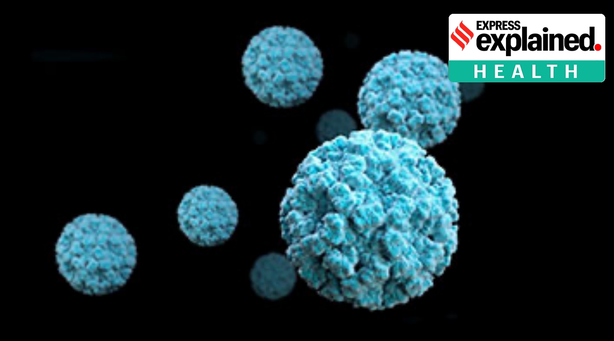 Electron microscopic image of norovirus virions (Source: Centers for Disease Control and Prevention)