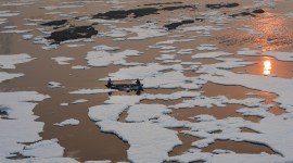Boats and barricades in desperate bid to combat Yamuna foam