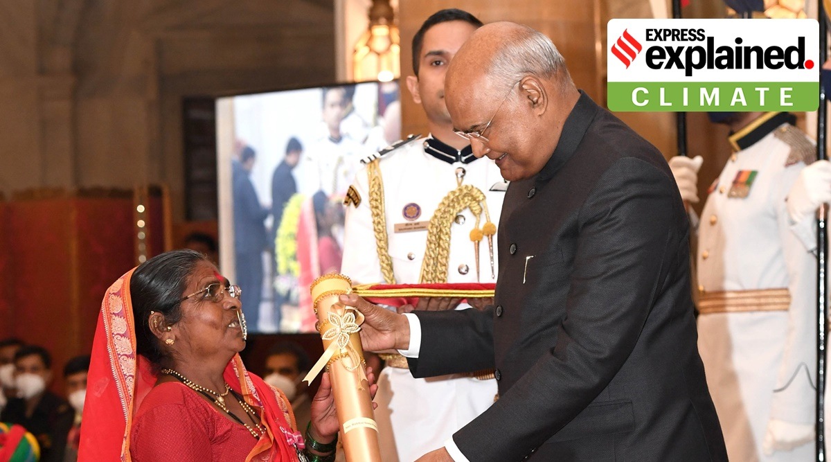 Rahibai Popere has been part of the BAIF-supported Kalsubai Parisar Biyane Sanvardhan Samajik Sanstha in Akole.(Twitter/President of India)