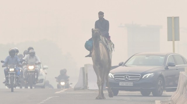A man rides a camel as traffic plies on a road with headlights on, amid smog in New Delhi. (Photo: PTI)