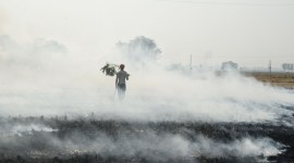 punjab stubble burning pollution farm fire