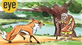 Tuyu Fox