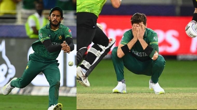 We would&#39;ve done the job anyway: Wade refuses to call Hasan Ali&#39;s dropped  catch turning point of match | Sports News,The Indian Express