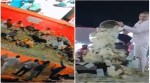 Urvasi Radadiya showered with currencies, fans pour notes, Gujarati folk music, social media viral, indian express