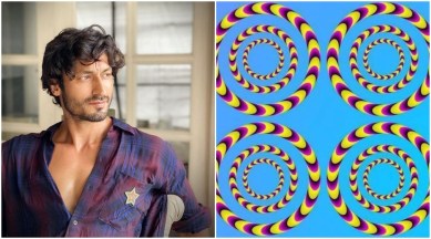 Vidyut Jammwal, Vidyut Jammwal news, Vidyut Jammwal stress, Vidyut Jammwal stress test, Vidyut Jammwal post on stress, how to find out if you are stressed, stress test, simple stress test, optical illusion stress test, indian express news