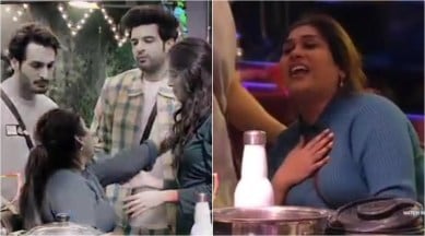 afsana khan, bigg boss 15