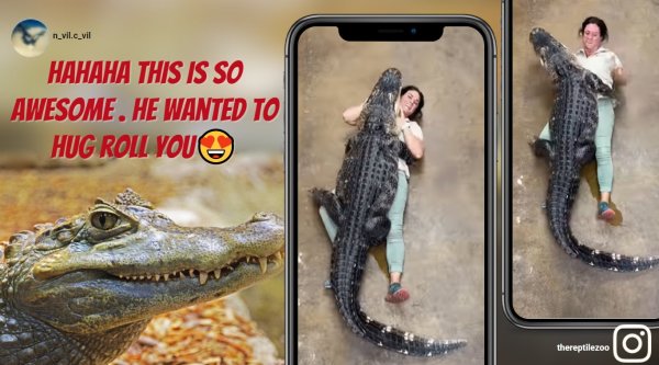 alligator hug, alligator hugs zookeeper, alligator hugs zoo female staff, big alligator woman cuddle video, odd news, viral videos, indian express