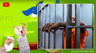 baby shark, jailers torture with baby shark, baby shark torture tactics,
