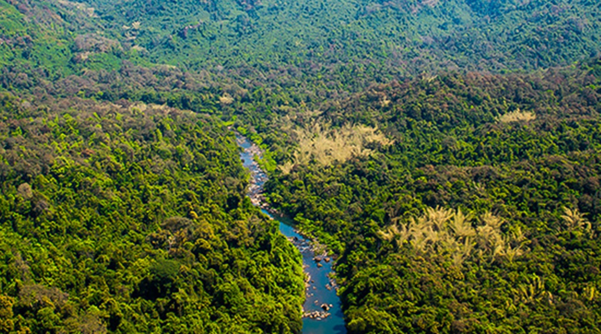 The electrification work in Bhimgad Wildlife Sanctuary started in 2016 and the then deputy conservator of forest Basavaraj Patil issued notices to Nandeppagol in April 2017. (File)
