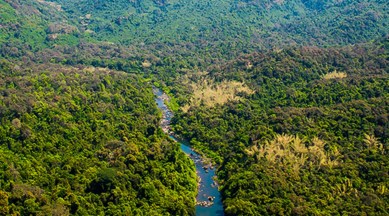 The electrification work in Bhimgad Wildlife Sanctuary started in 2016 and the then deputy conservator of forest Basavaraj Patil issued notices to Nandeppagol in April 2017. (File)