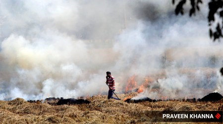 A farmer burning paddy waste. (Express File Photo by Praveen Khanna)