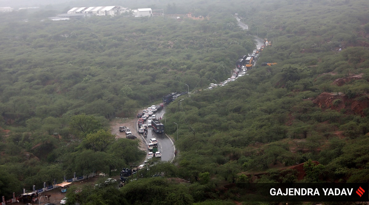Haryana forest land row: Environmentalists say govt's claim of 40% of state land being forests flawed